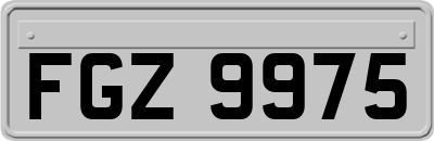 FGZ9975