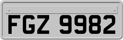 FGZ9982