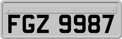 FGZ9987