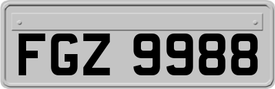 FGZ9988