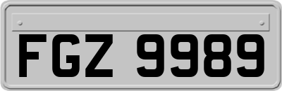 FGZ9989