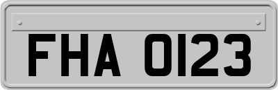 FHA0123