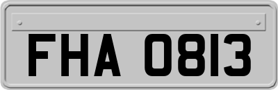 FHA0813