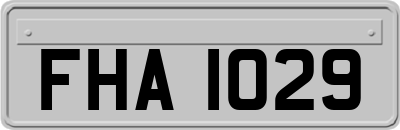 FHA1029