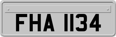 FHA1134