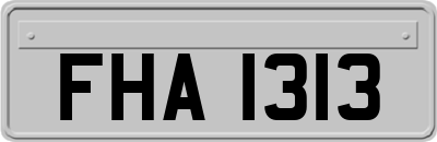 FHA1313