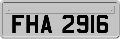 FHA2916