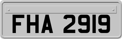 FHA2919