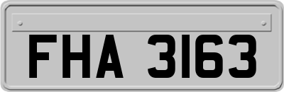 FHA3163