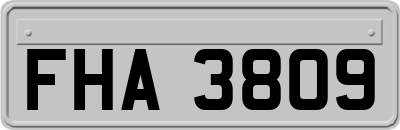 FHA3809