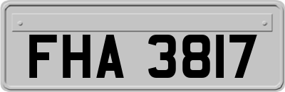 FHA3817