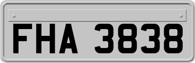 FHA3838