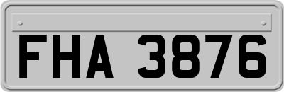 FHA3876