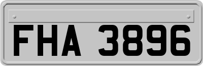 FHA3896
