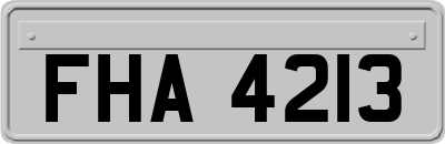 FHA4213