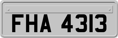 FHA4313