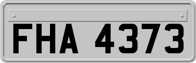 FHA4373
