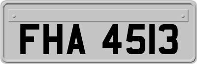 FHA4513