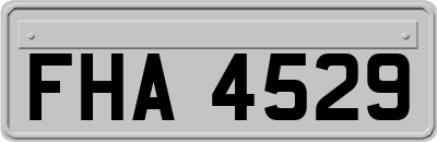FHA4529