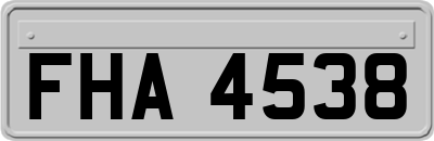 FHA4538