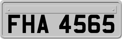 FHA4565