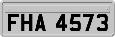 FHA4573