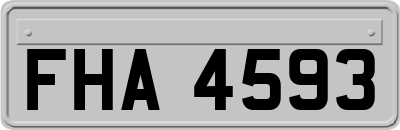 FHA4593