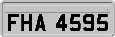 FHA4595