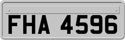 FHA4596