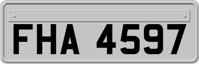 FHA4597