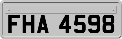 FHA4598