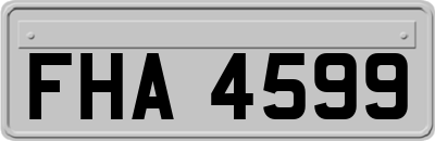 FHA4599