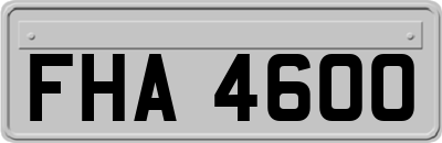 FHA4600