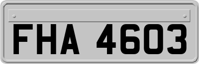 FHA4603