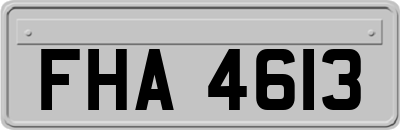 FHA4613