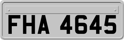 FHA4645