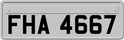 FHA4667