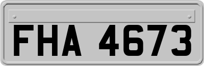 FHA4673