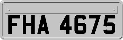 FHA4675