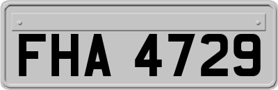 FHA4729