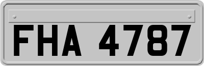 FHA4787