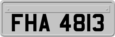 FHA4813