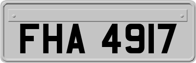FHA4917