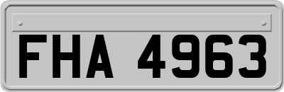 FHA4963