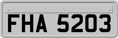 FHA5203