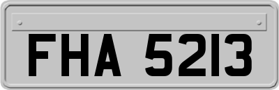 FHA5213