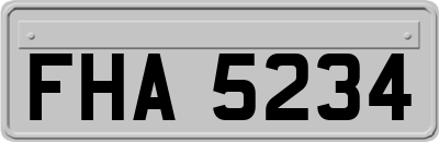 FHA5234