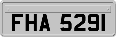 FHA5291