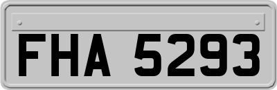 FHA5293