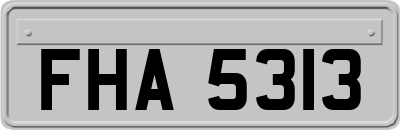 FHA5313